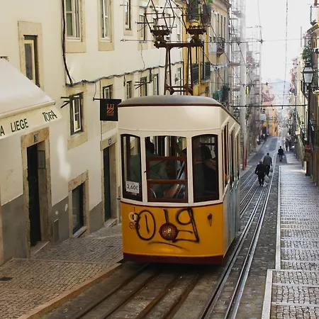 Light Of I Lisboa